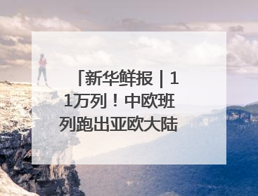 新华鲜报｜11万列！中欧班列跑出亚欧大陆“新时速”